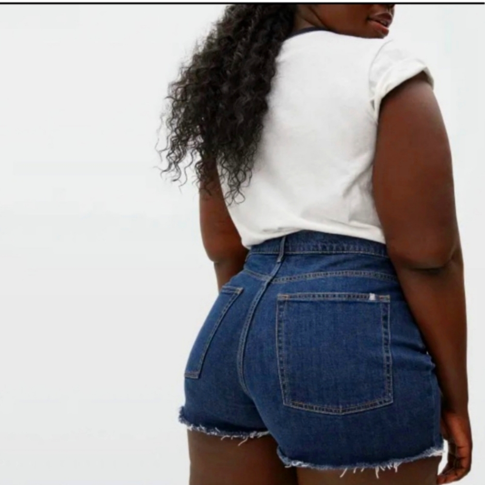 Everlane Way High Denim Shorts, Size 26